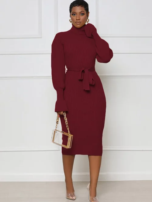 Midi Dresses with High Neck and Long Sleeves in Solid Colors