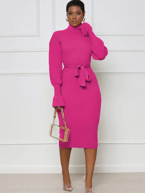 Midi Dresses with High Neck and Long Sleeves in Solid Colors